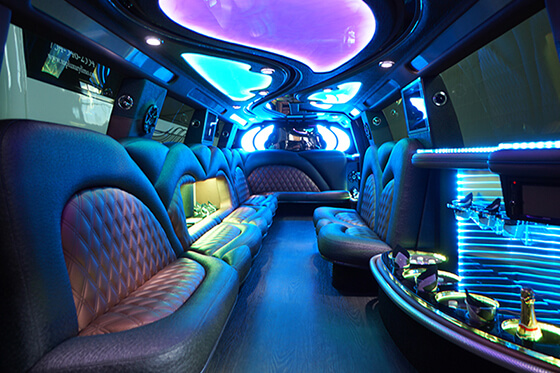 20 passenger party bus interior